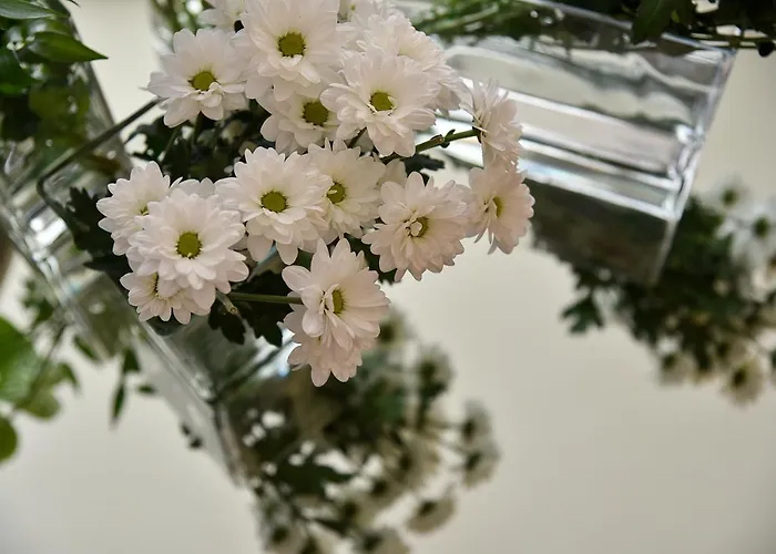 Anthony Hotel Lido di Jesolo