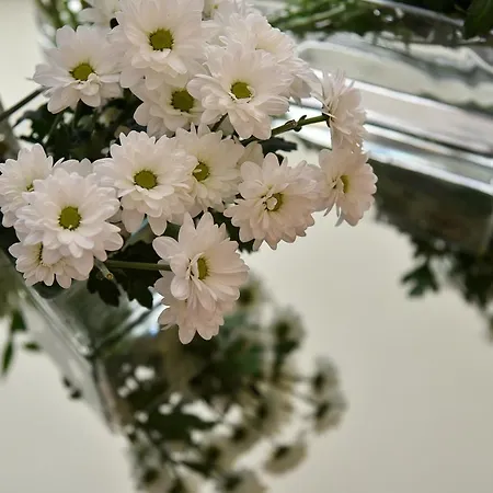 Anthony Hotel Lido di Jesolo